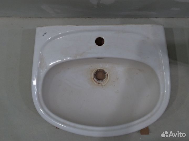 Раковина тюльпан