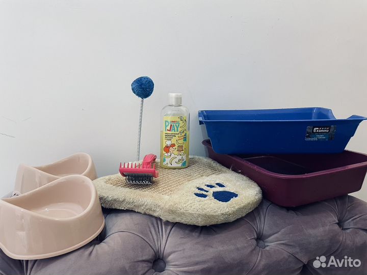 Товары для домашних животных