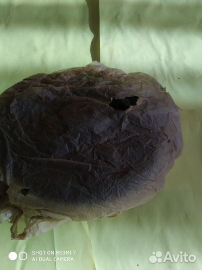 Катушка спиннинговая невская