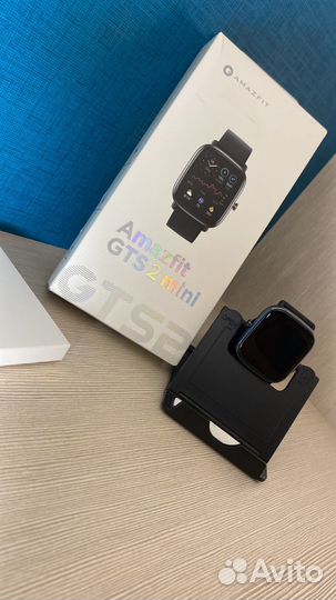 Amazfit gts 2 mini