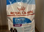 Корм для собак Royal canin starter