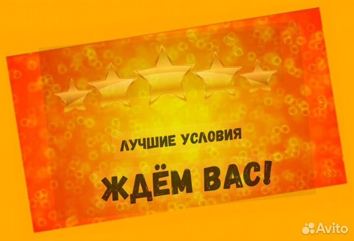 Оператор линии Без опыта Еженедельные выплаты