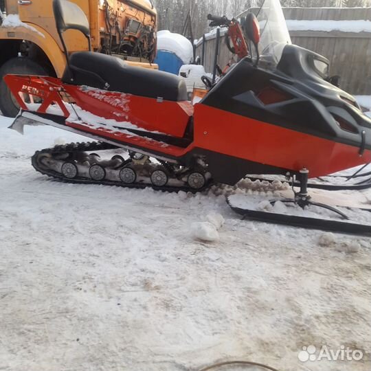 Бурлак- беркут