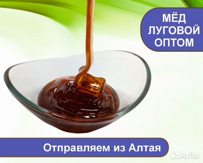 Алтайский мёд 2023 года (оптом)