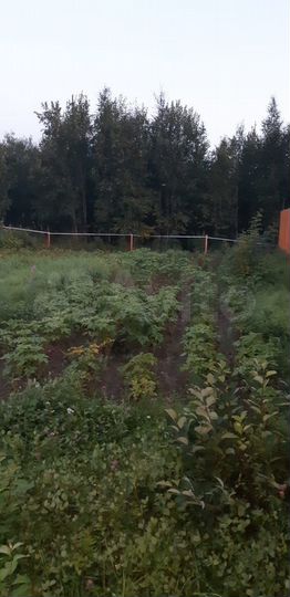 Участок 5 сот. (СНТ, ДНП)