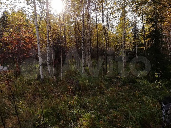 Участок 10 сот. (СНТ, ДНП)