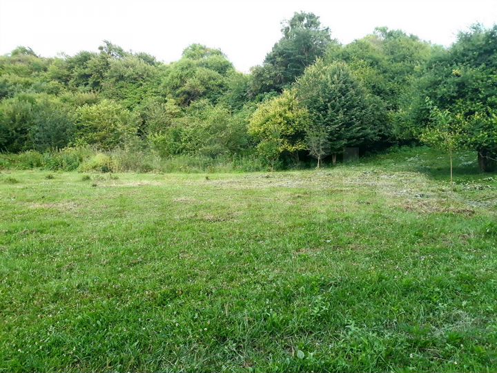 Участок 6 сот. (ИЖС)