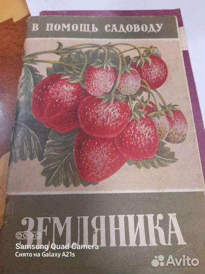 Книга Земляника Михайлов