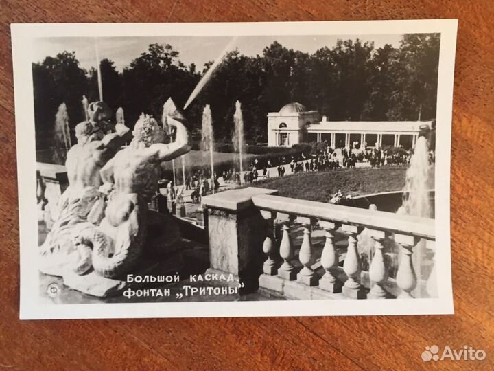 Набор фотографий 