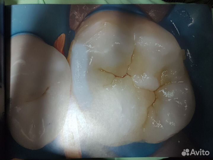 Книга по стоматологии 