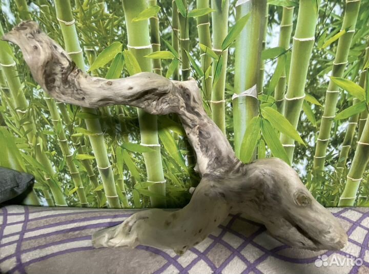 Коряга для декора дрифтвуд 60/30/10