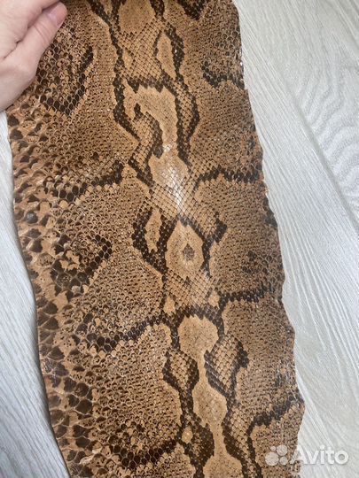 Кожа питона натуральная (обрезки)