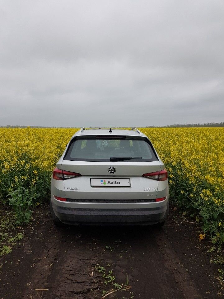 Skoda Kodiaq: фото владельца