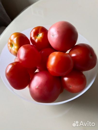 Помидоры