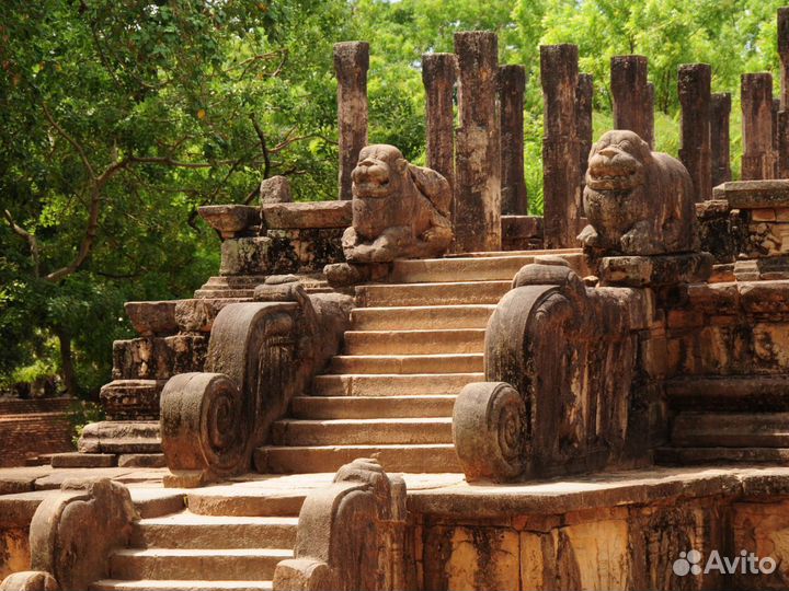 Эксклюзив-тур на Sri Lanky 7 дн