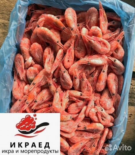 Креветки Северные оптом