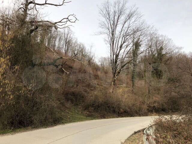 Участок 50 сот. (ИЖС)