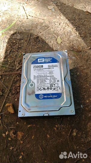 Жесткий диск для пк на 250гб