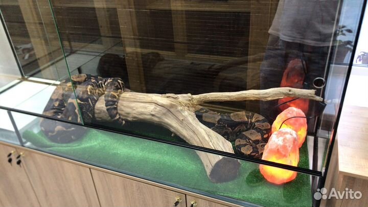 Аквариум на заказ и в наличии, ремонт
