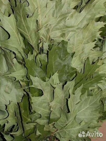 Веники для бани