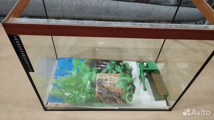 Аквариум