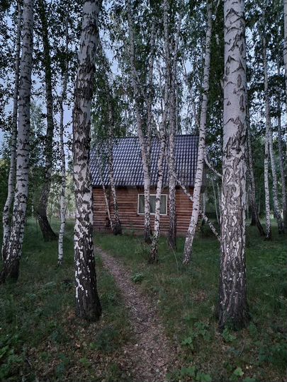 Дом 40 м² на участке 40 сот.