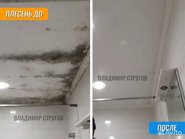 Уничтожение клопов, травить тараканов /Дезинфекция