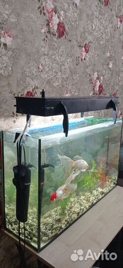 Аквариум с рыбками