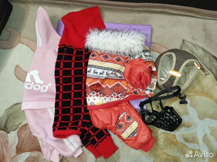 Костюмы для собак