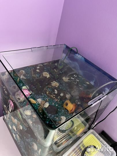 Аквариум с рыбками