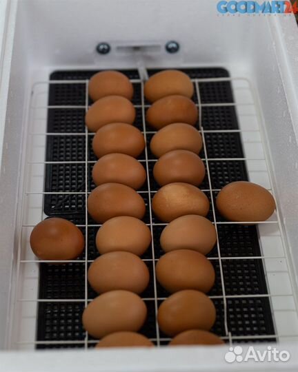 Инкубатор Несушка 220/12В 36/ 77 /104 цифр. терм