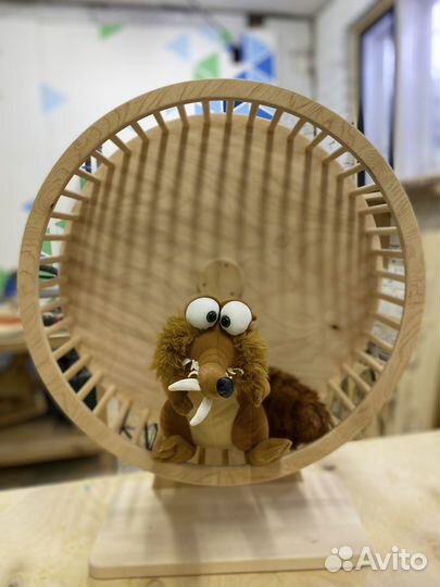 Беговой домик