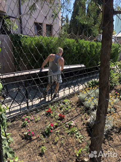 Грузчики Севастополь