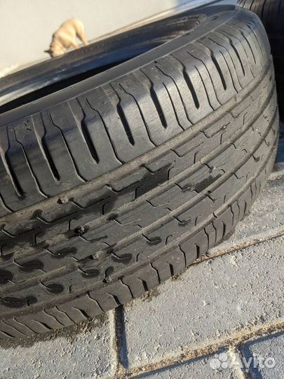 Continental ContiEcoContact 6 205/55 R17 91L