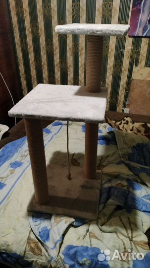 Когтеточка