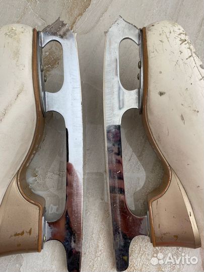 Фигурные коньки edea chorus 240