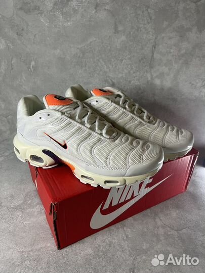 Кроссовки мужские Nike air max tn