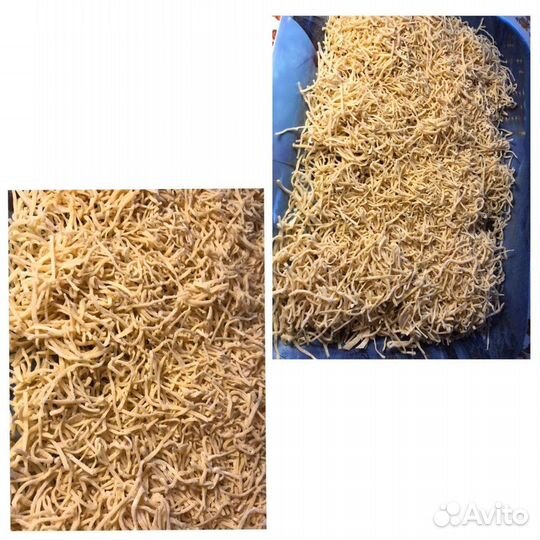 Домашняя лапша и соленья