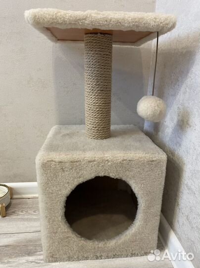 Когтеточка