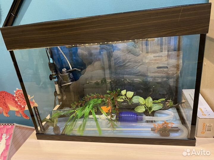 Аквариум