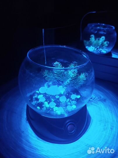 Аквариум для петушка с подсветкой