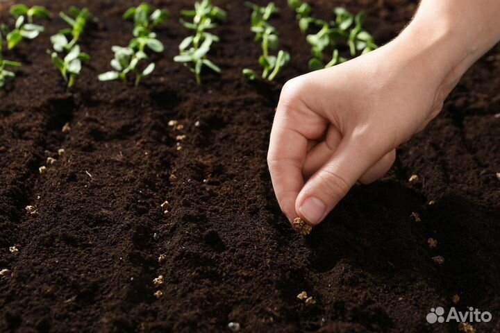 Почвосмесь 
