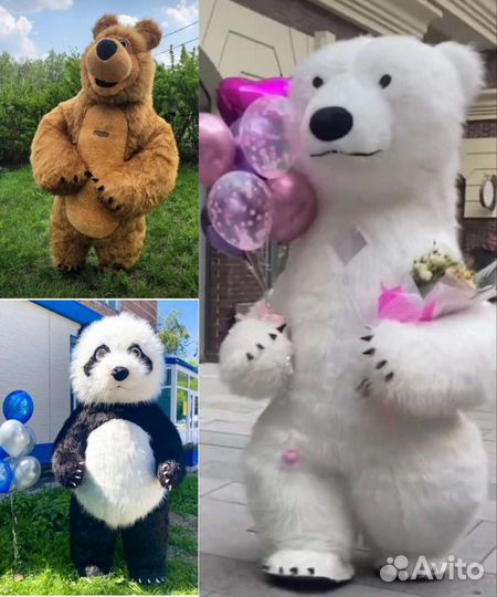 Поздравление Белый бурый мишка панда, ростовые