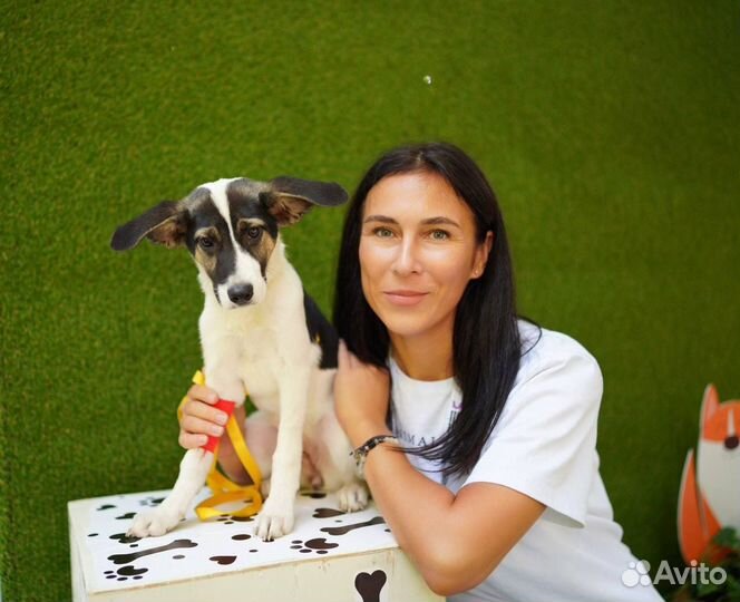 Кинолог зоопсихолог