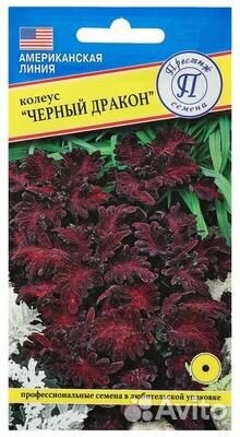 Колеусы сортовые