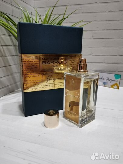 Marc-Antoine Barrois Ganymede Ганимед