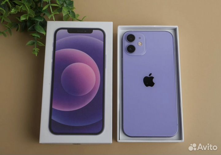 iPhone 12 mini, 256 ГБ