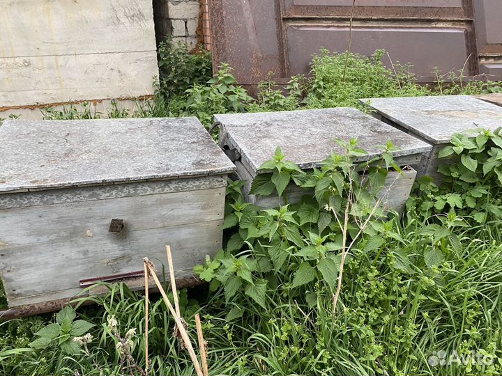 Ульи для пчел