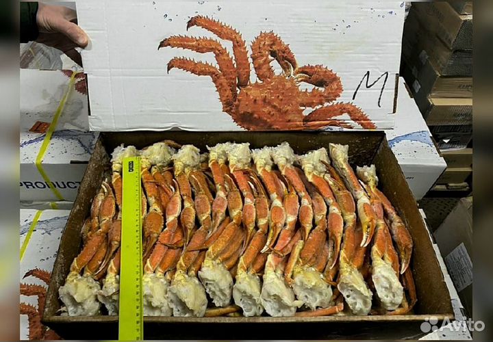 Конечности краба стригуна