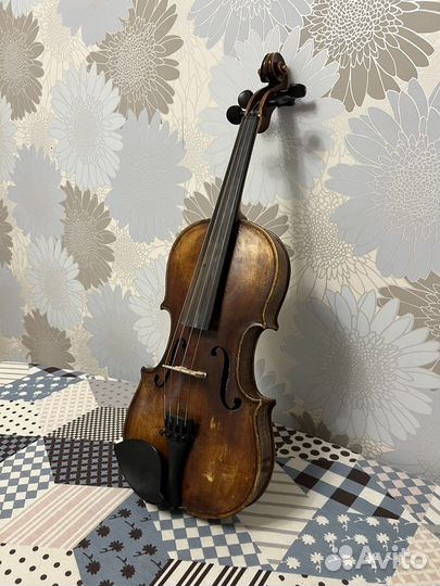 Скрипка 3/4